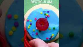 Science Made Delicious: Create a Plant Cell Cake that is both Educational and Tasty #shorts