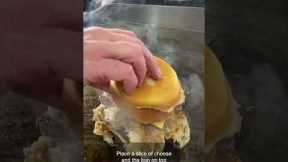 George Motz Fried Onion Burger
