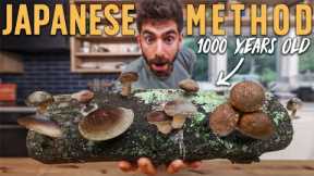 How to Grow Shiitake Mushrooms on Logs