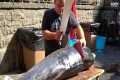 Fish Cutting in Sicily: Tuna and