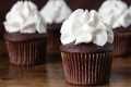 Chocolate Cupcakes | Easy, Moist, and 