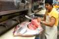 Giant Opah Fish Fillet Cutting